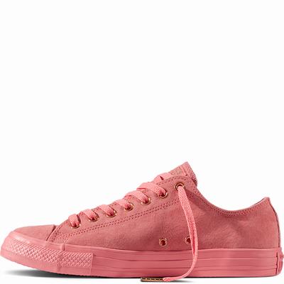 Converse Chuck Taylor All Star Suede Low Tops Womens - Orange/Orange/Gold Shoes (854TBDNK)